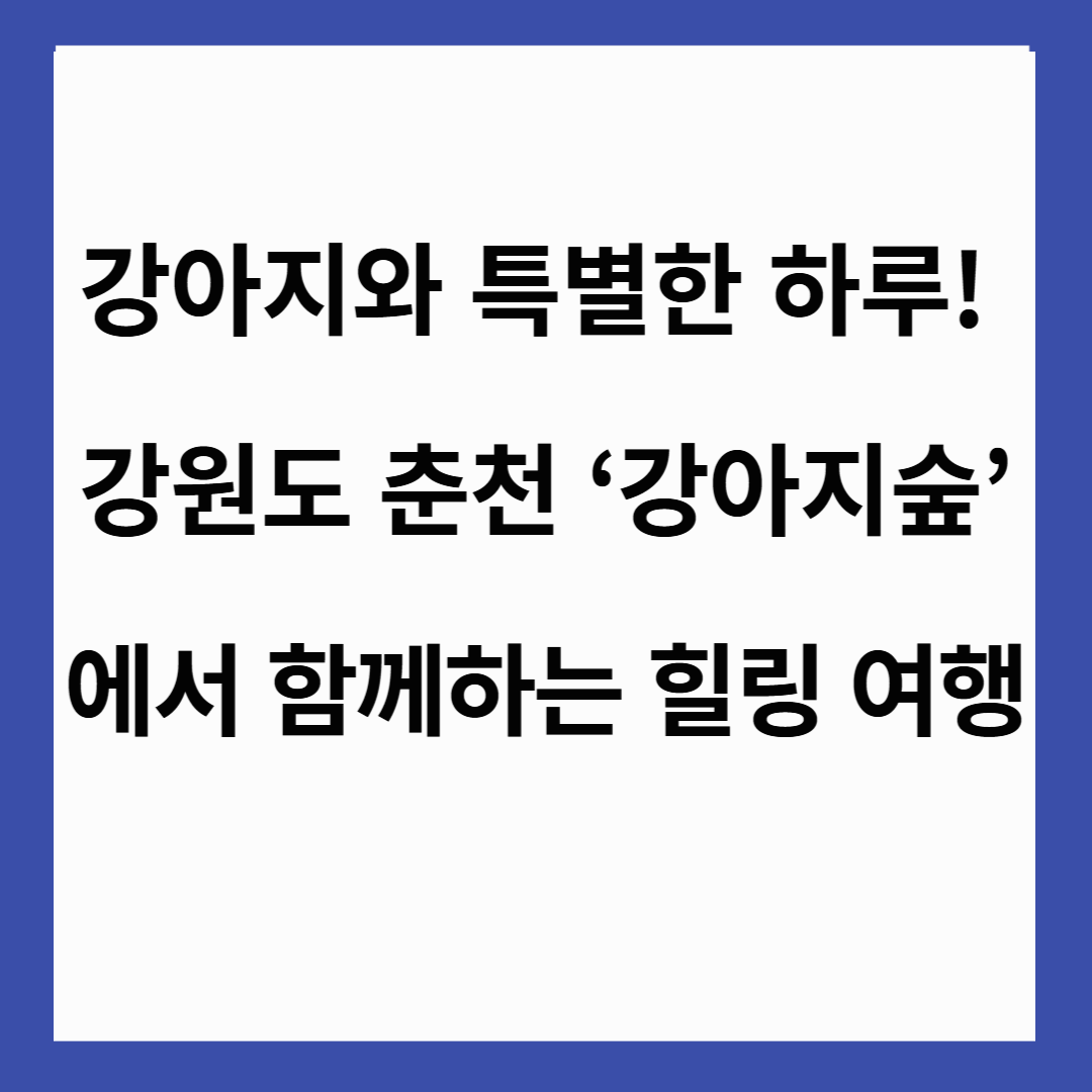 🐶 강아지와 특별한 하루! 강원도 춘천 ‘강아지숲’에서 함께하는 힐링 여행