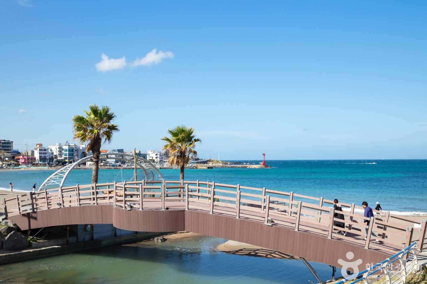 제주 이호테우해변