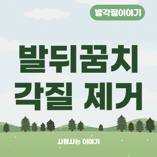 발뒤꿈치 각질이 생기는 이유와 효과 있는 도구 추천