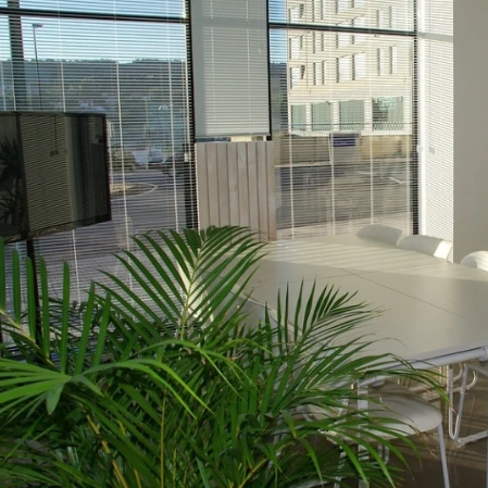 줌 배경화면 흐리게