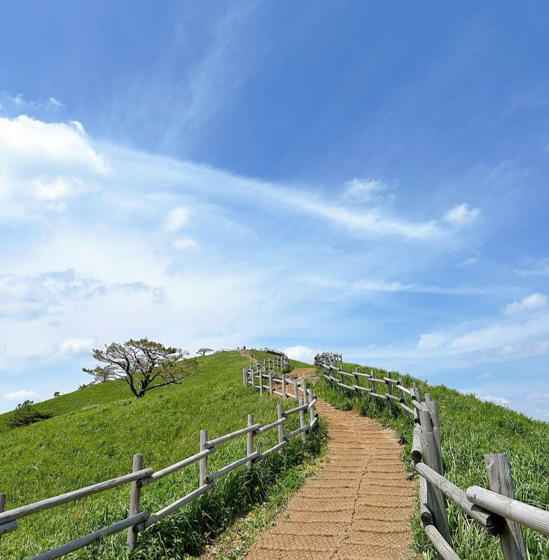 민둥산