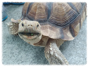 아이와 함께하는 여행이라면 프렌쥬랜드