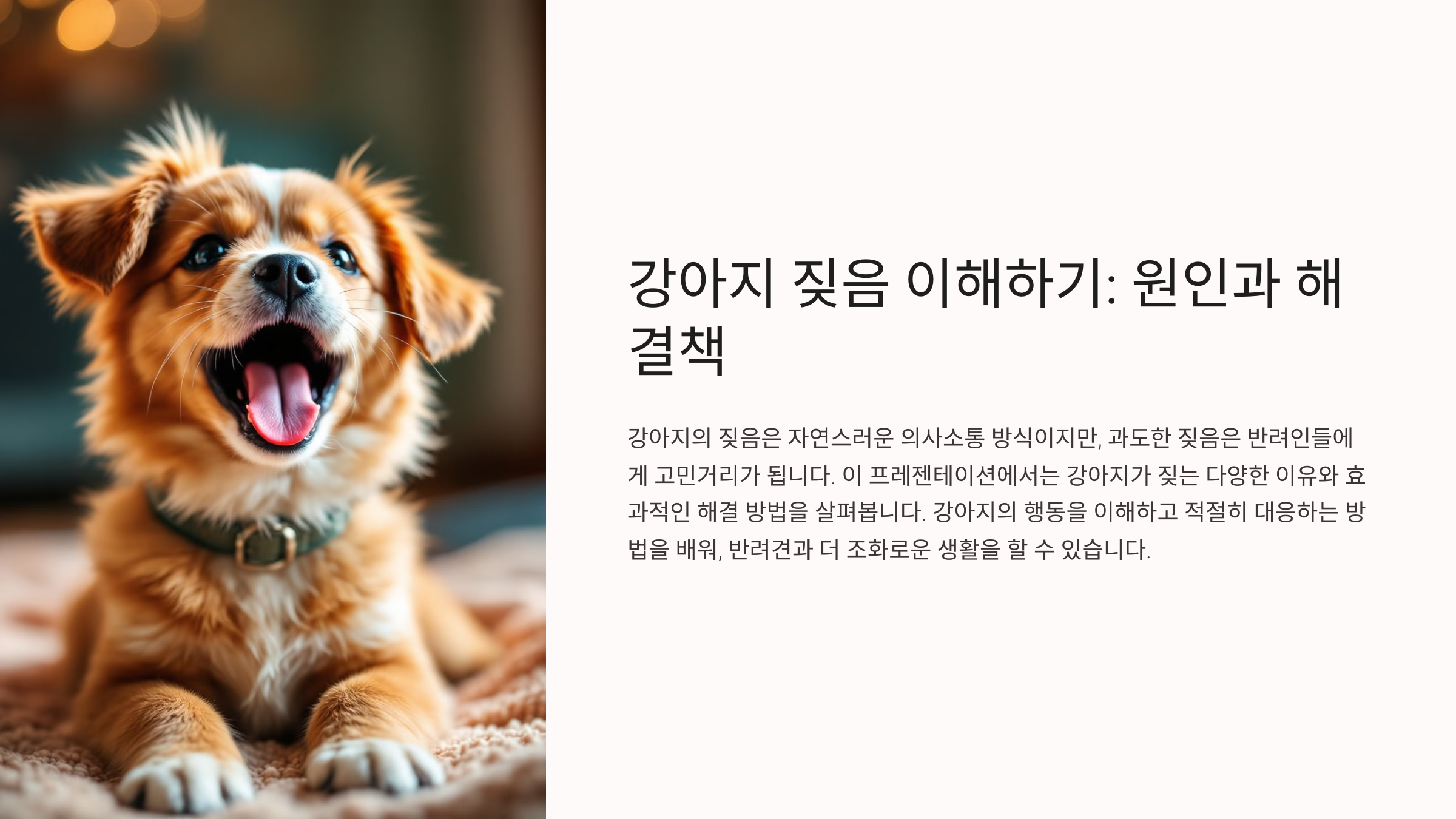 강아지가 자꾸 짖는 이유와 해결법 알아보기