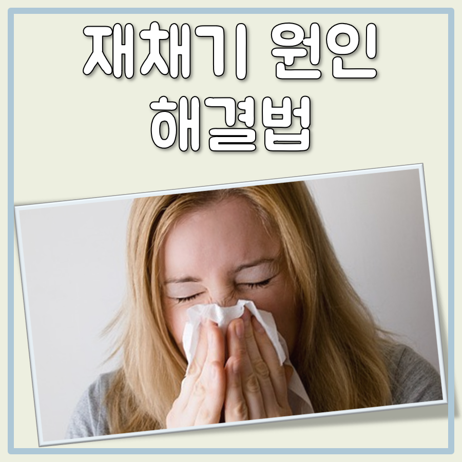재채기의 원인과 해결 방법: 감기, 알레르기, 비염의 차이점과 대처법 대표 이미지