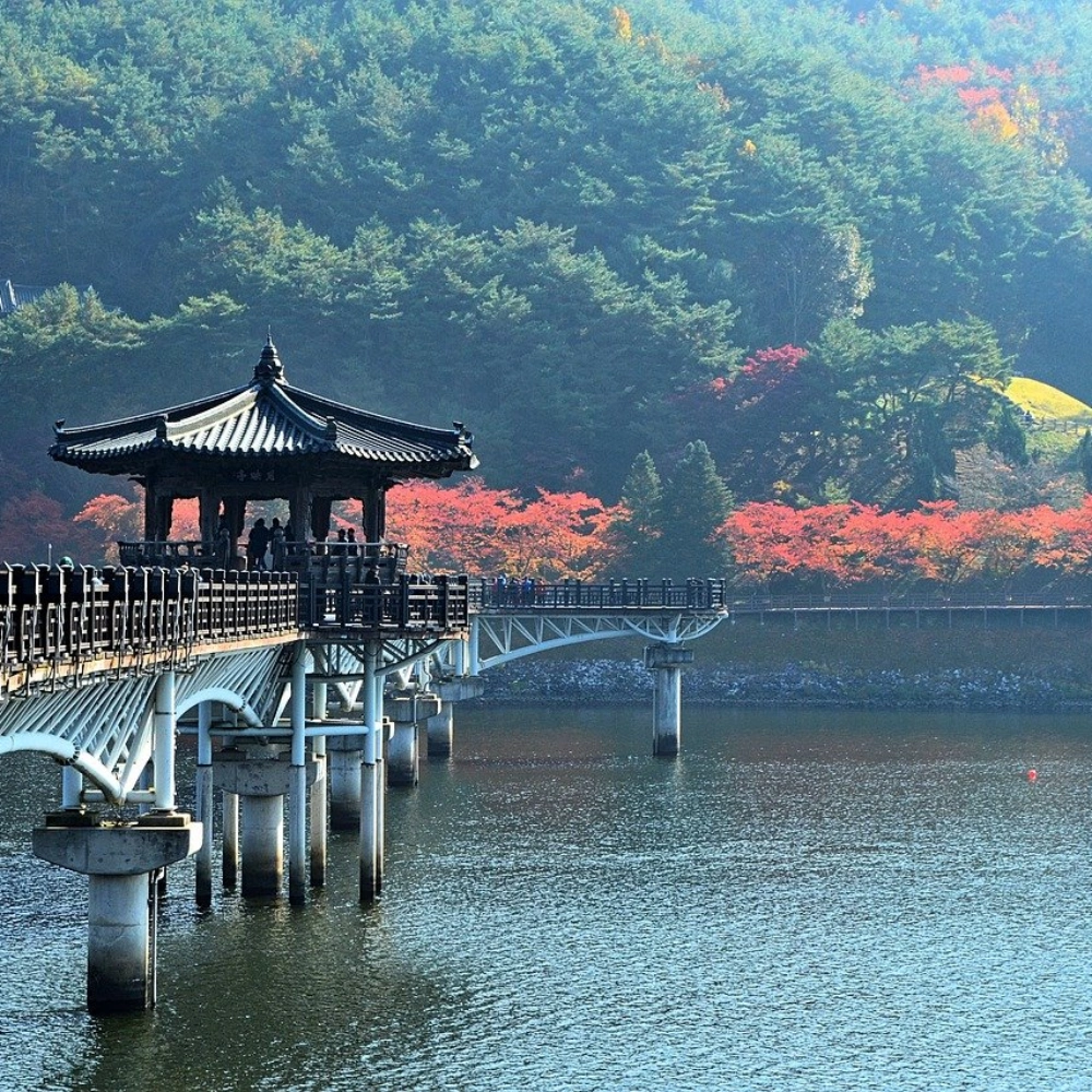 독도의 역사적 배경