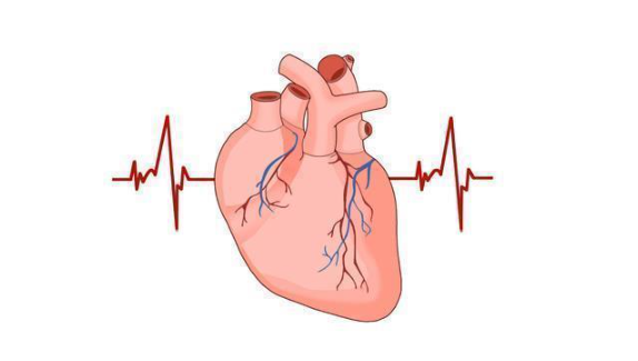 심장 활동
