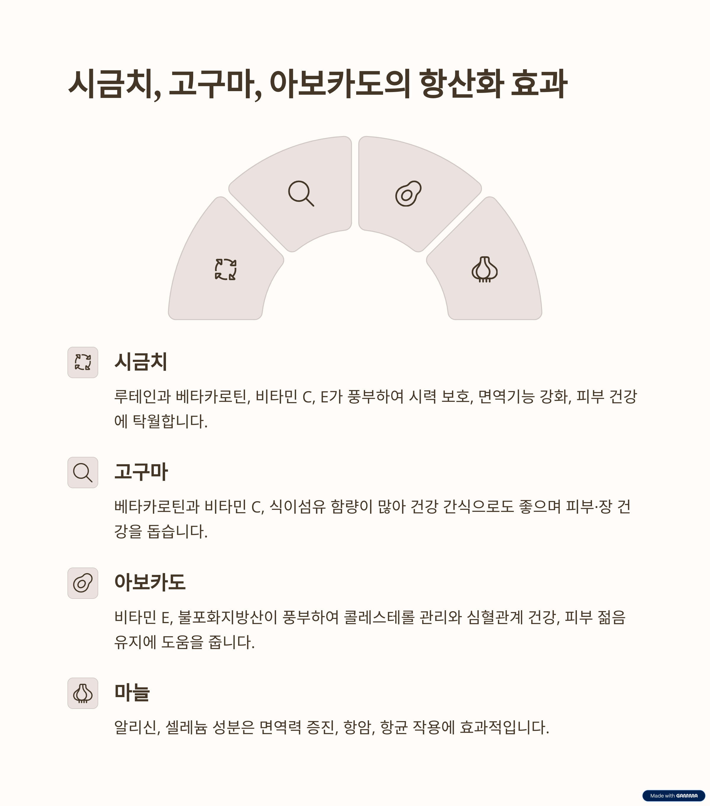 저속노화 항산화 식품 TOP 10