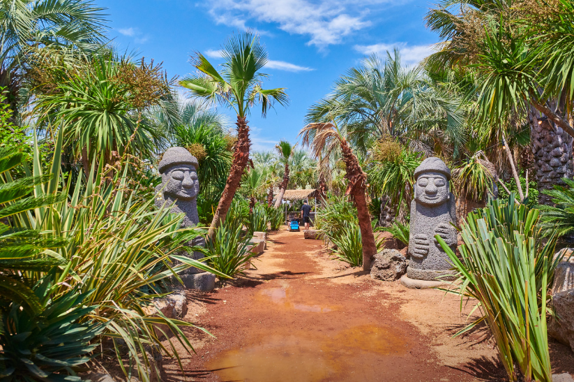 오늘n 동물카페 제주 어린왕자감귤밭