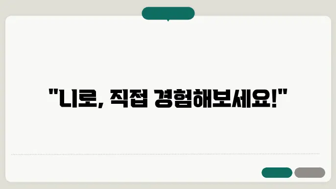 니로 모델 비교