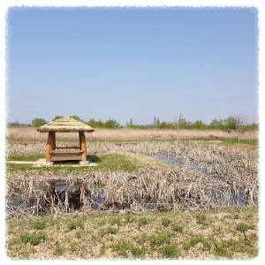 용안생태습지공원