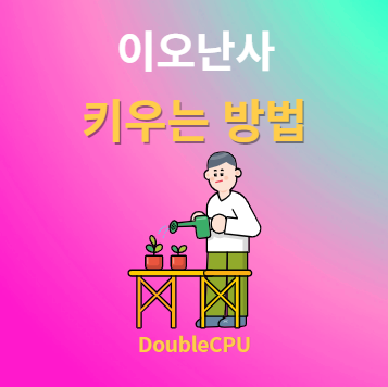 이오난사 키우기