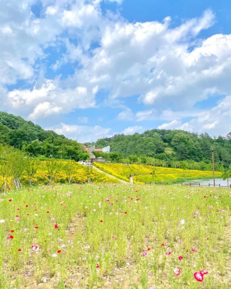6월 국내여행 추천지 BEST 7곳 지금 떠나기 딱 좋은 완벽한 힐링 명소 총정리_6