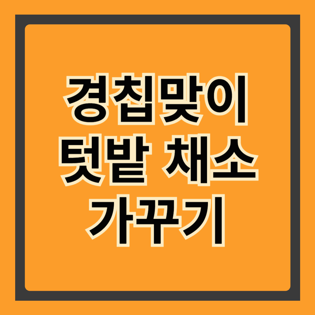경칩맞이 텃밭 채소 가꾸기