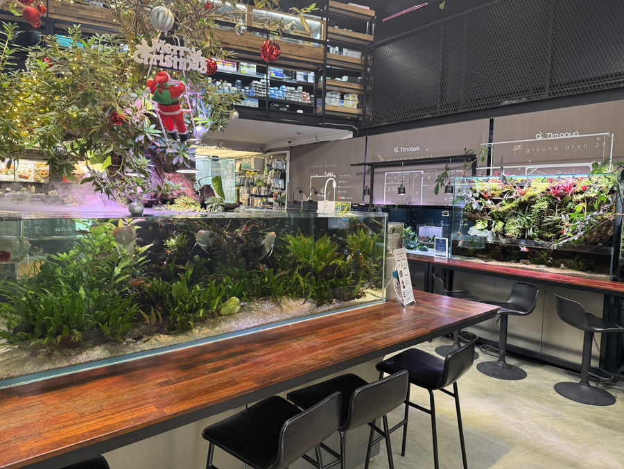 천안 신방동 수족관카페 팀아쿠아 내부 전경