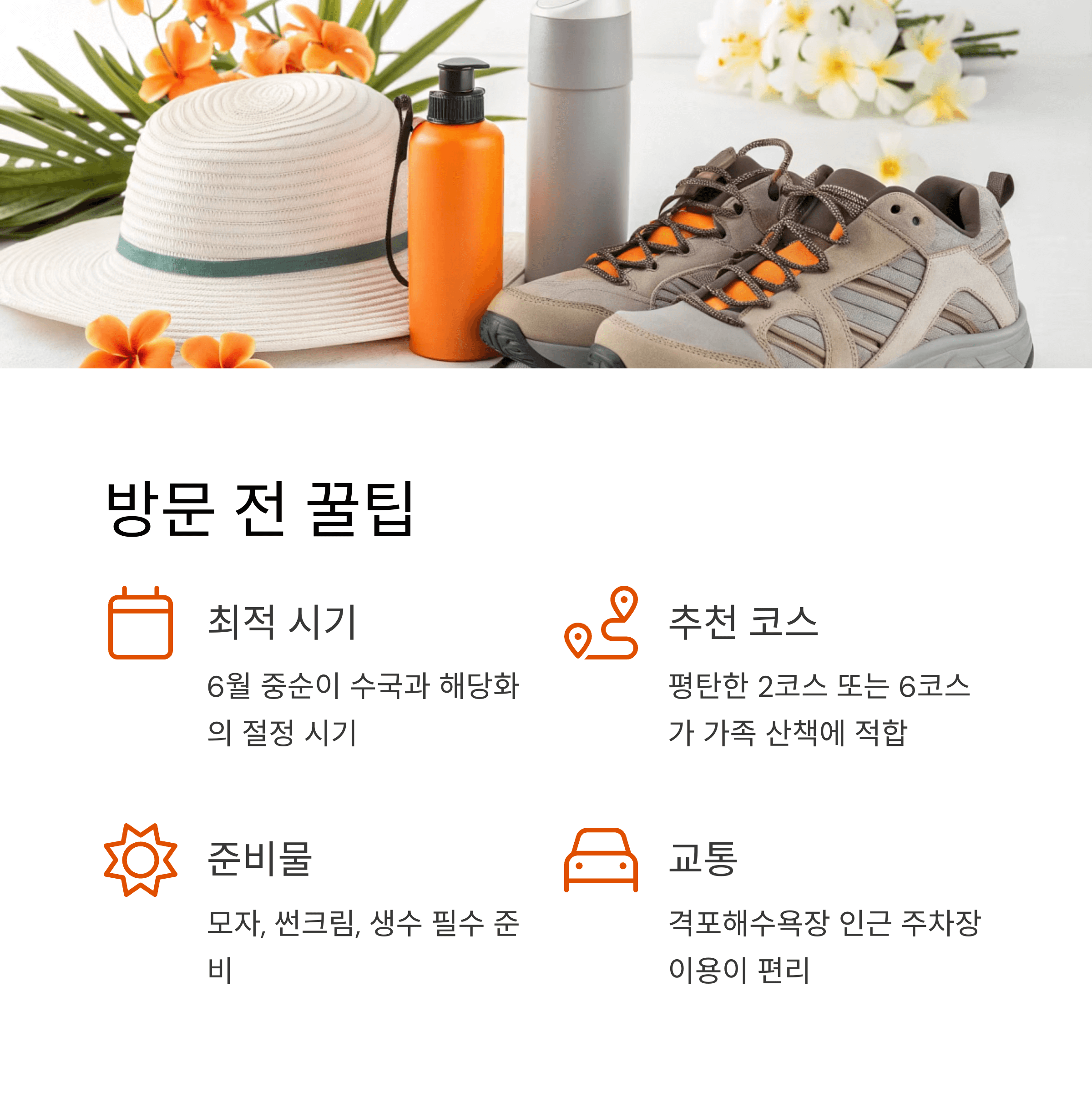 여름 산책용품과 준비물 이미지
