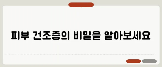 피부 건조증 증상과 보습 관리법