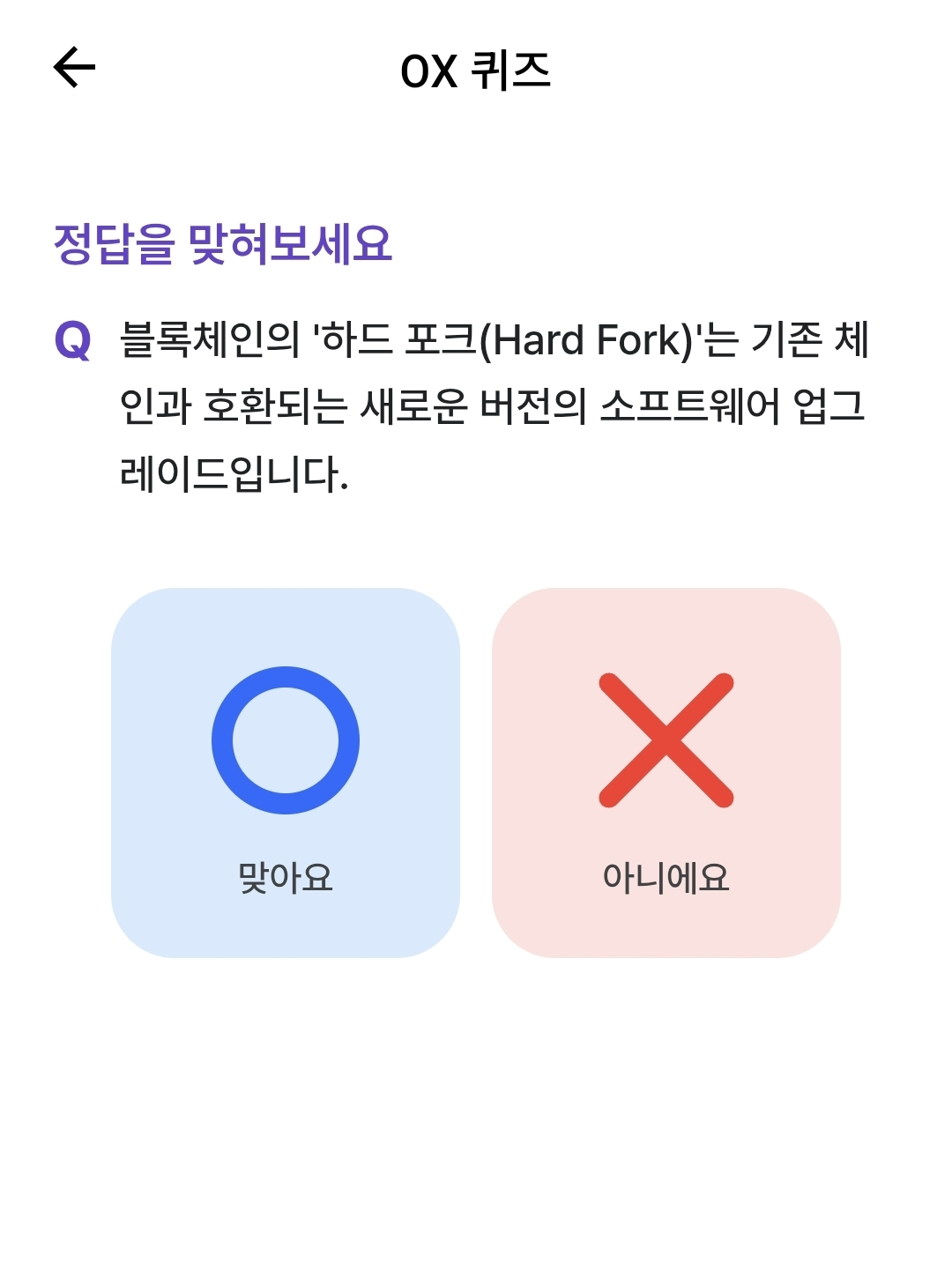 비트버니 오늘의 퀴즈 정답