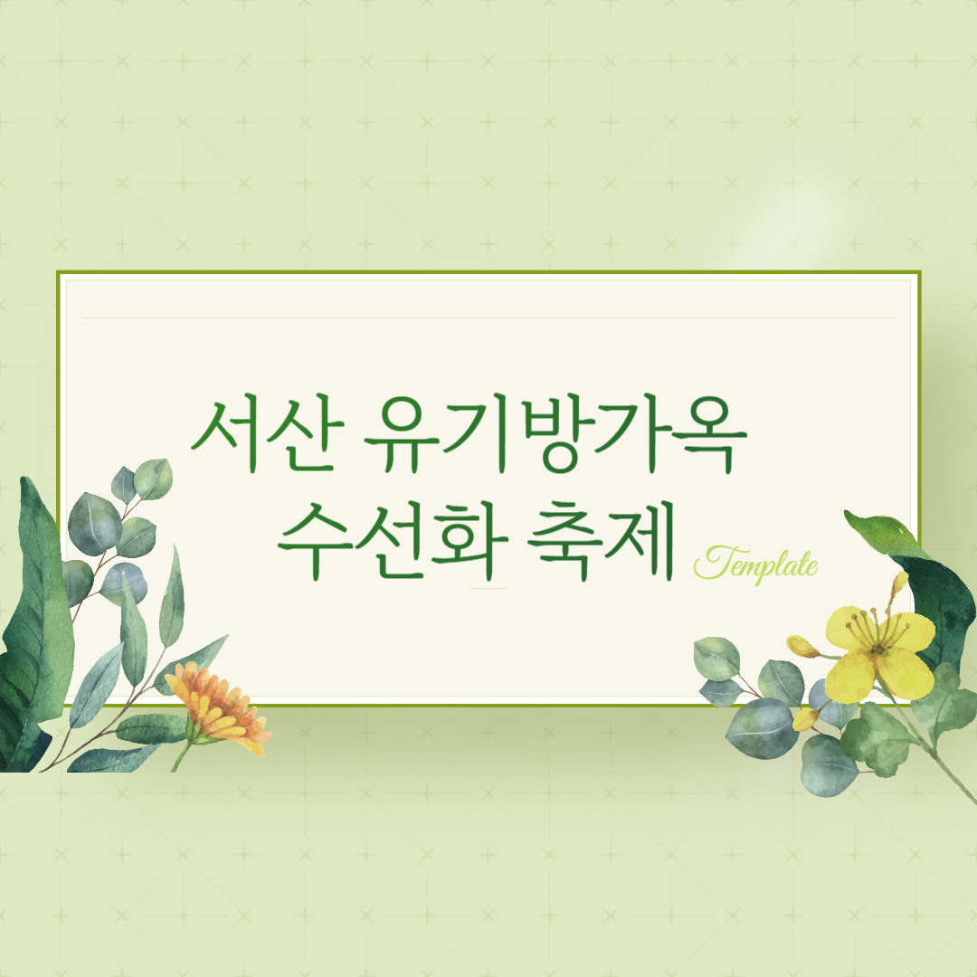 서산 유기방가옥 수선화 축제 기간 개화 총정리