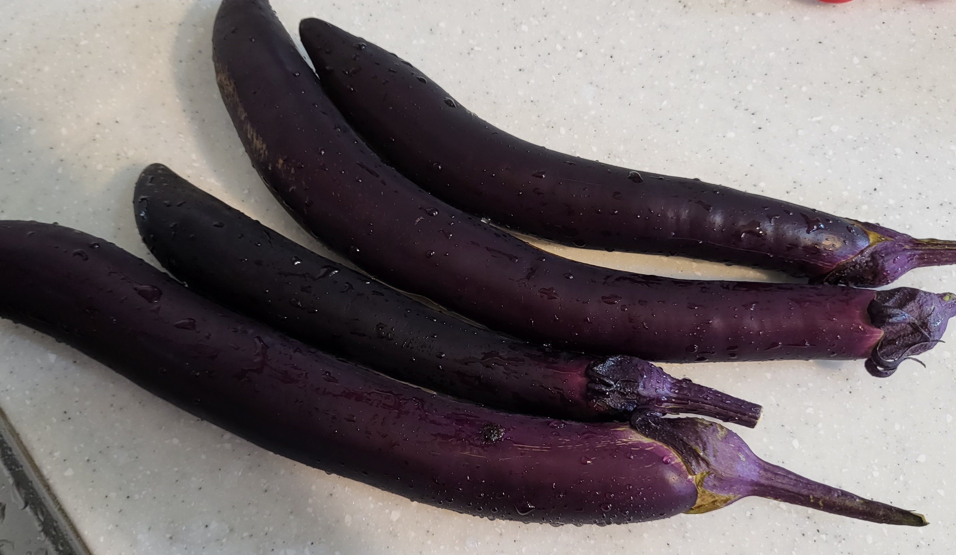 몸에 좋은 가지 효능