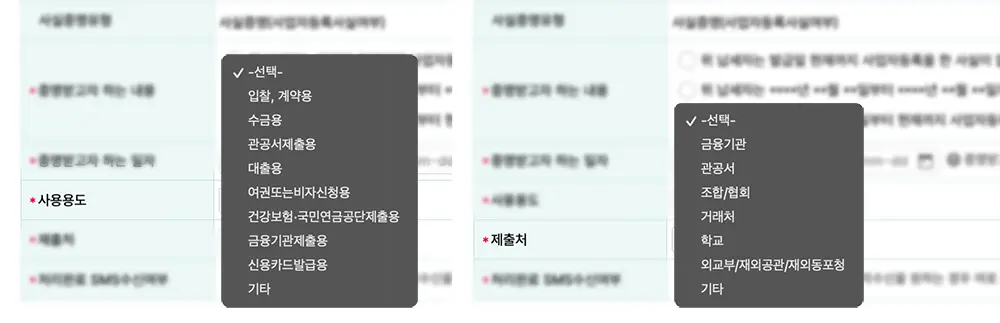 사업자등록사실여부 증명서 발급 신청화면