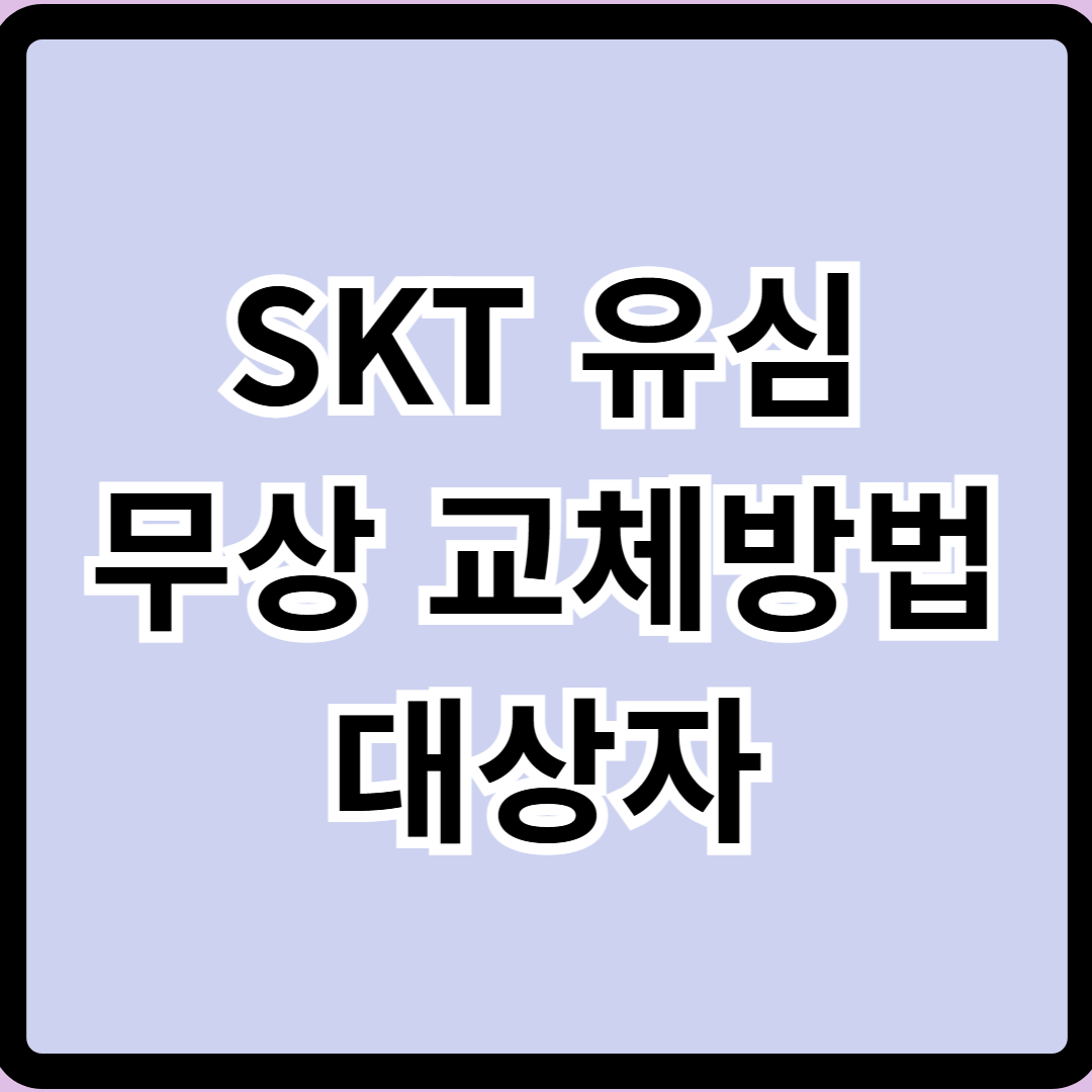 skt 유심 교체 방법 대상자 총정리