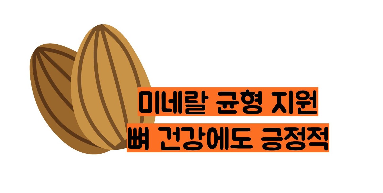 아몬드 효능