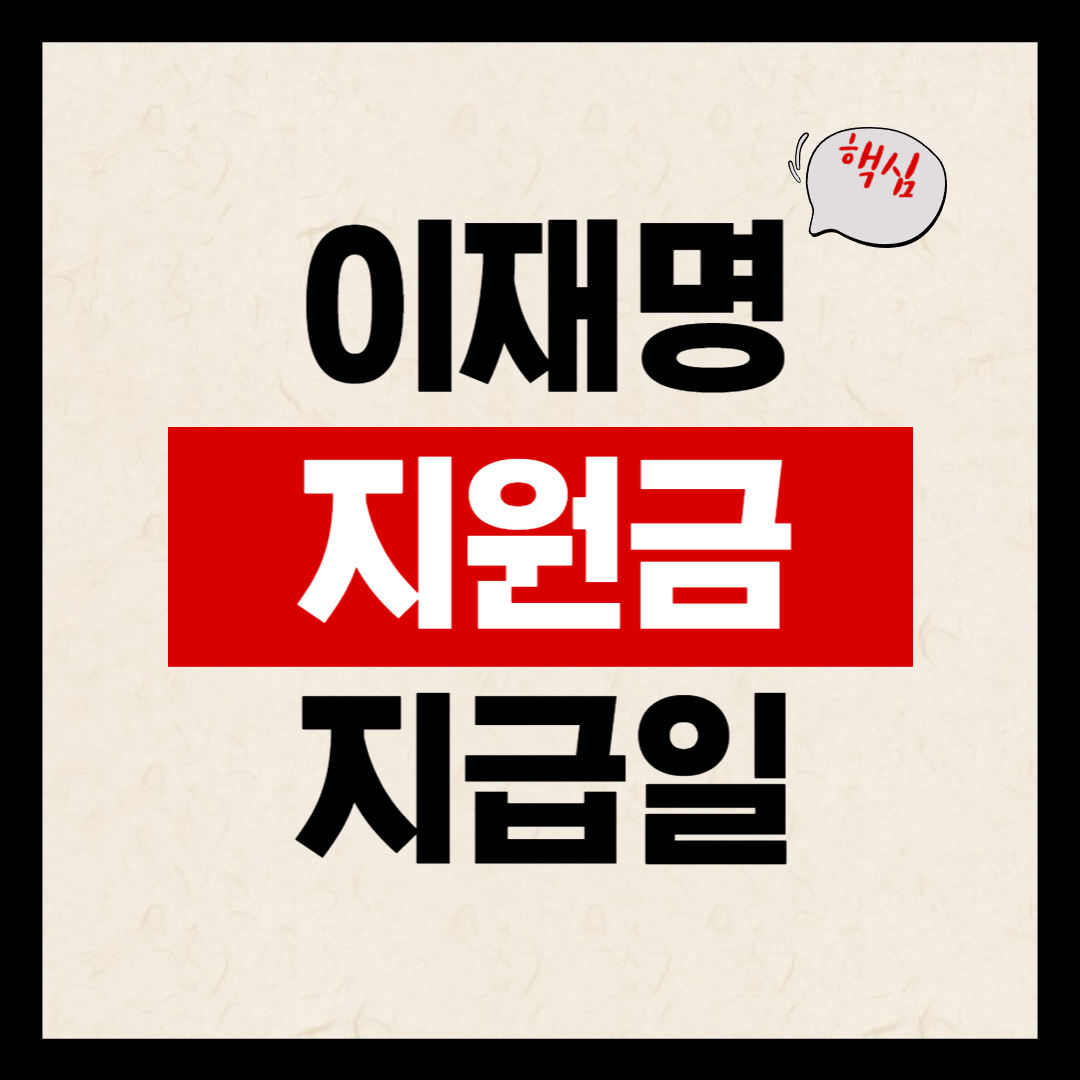 이재명 지원금