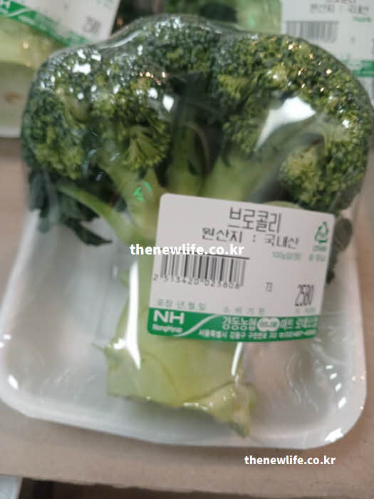 브로콜리 효능의 체내 흡수율을 높여 먹는 방법 실사진