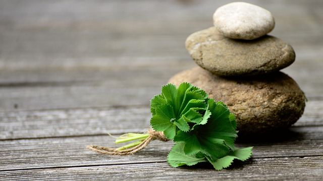 방광염에 좋은 음식 4