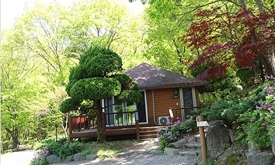 숲속의 집