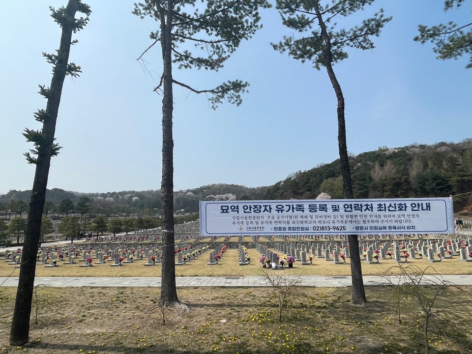 벚꽃