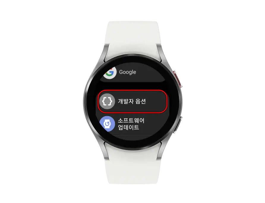 워치4 개발자 옵션