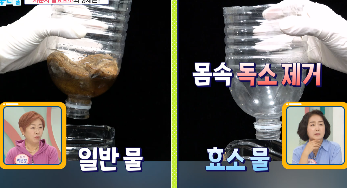 저분자 발효효소 효능