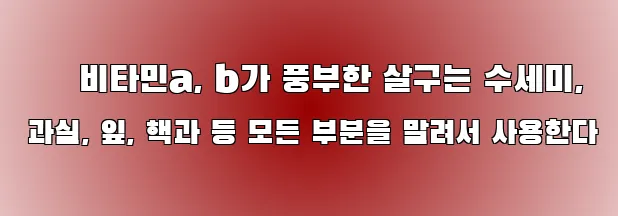  ▷ 비타민a, b가 풍부한 살구는 수세미, 과실, 잎, 핵과 등 모든 부분을 말려서 사용한다