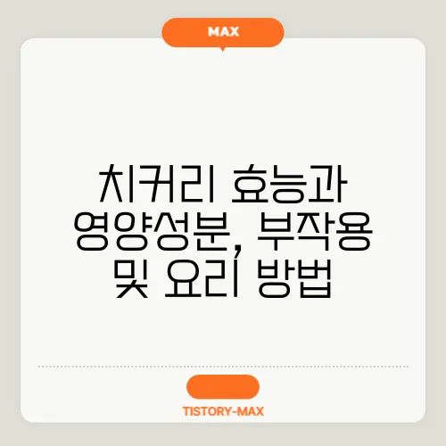 치커리 효능과 영양성분, 부작용 및 요리 방법