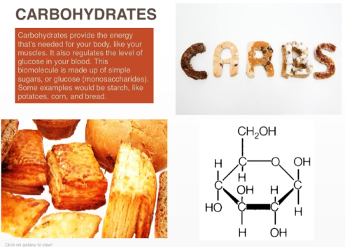 탄수화물 화학 기호