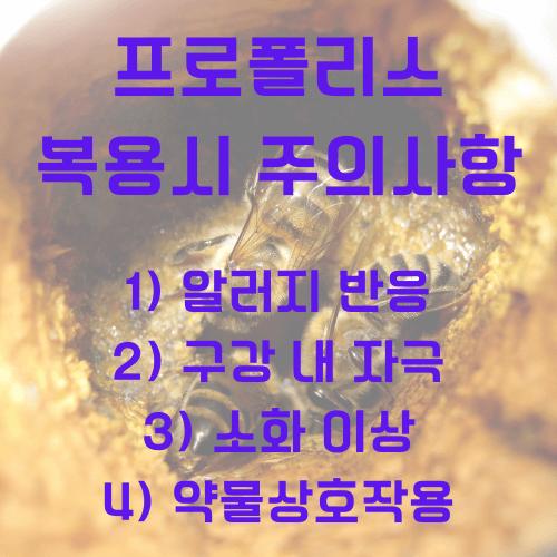 프로폴리스_복용시_주의사항