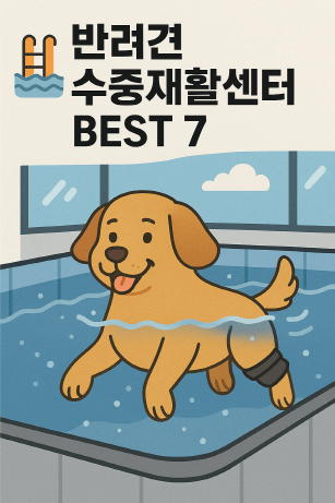 반려견 수중재활센터 전국 BEST 7 : 수중 러닝머신 있는 곳만 정리!