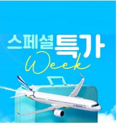 비행기표예약-얼리버드-이용