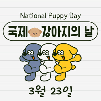 실패 없는 센스 선물&amp;#44; 이 5가지는 반드시 통합니다