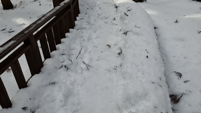 온통 눈밭인 제주 사려니숲길.gif