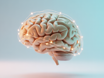 아르기닌의 효능