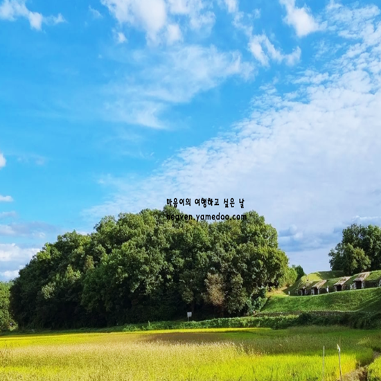 김포 가볼만한곳 베스트10