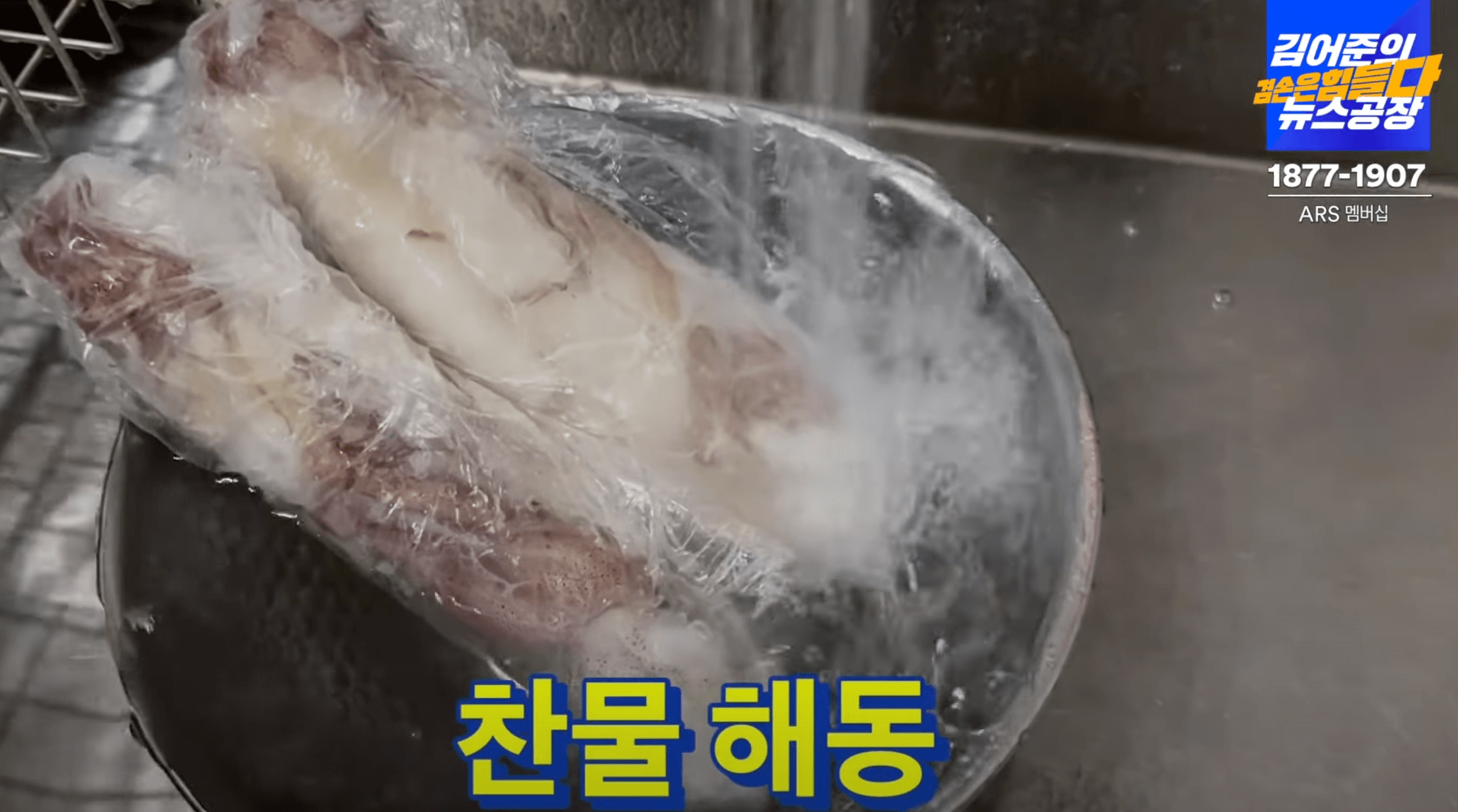 한치-해동