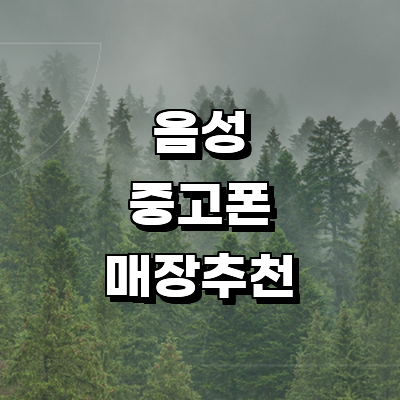 음성군 중고폰