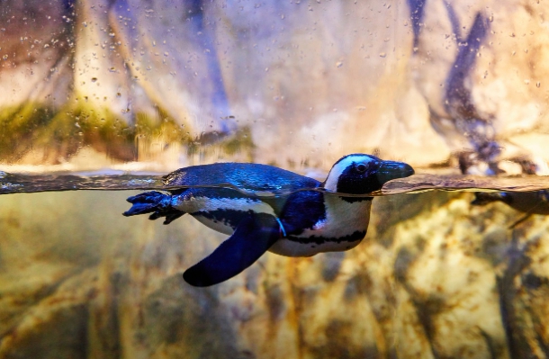 부산 아이와 놀러 갈만한 곳