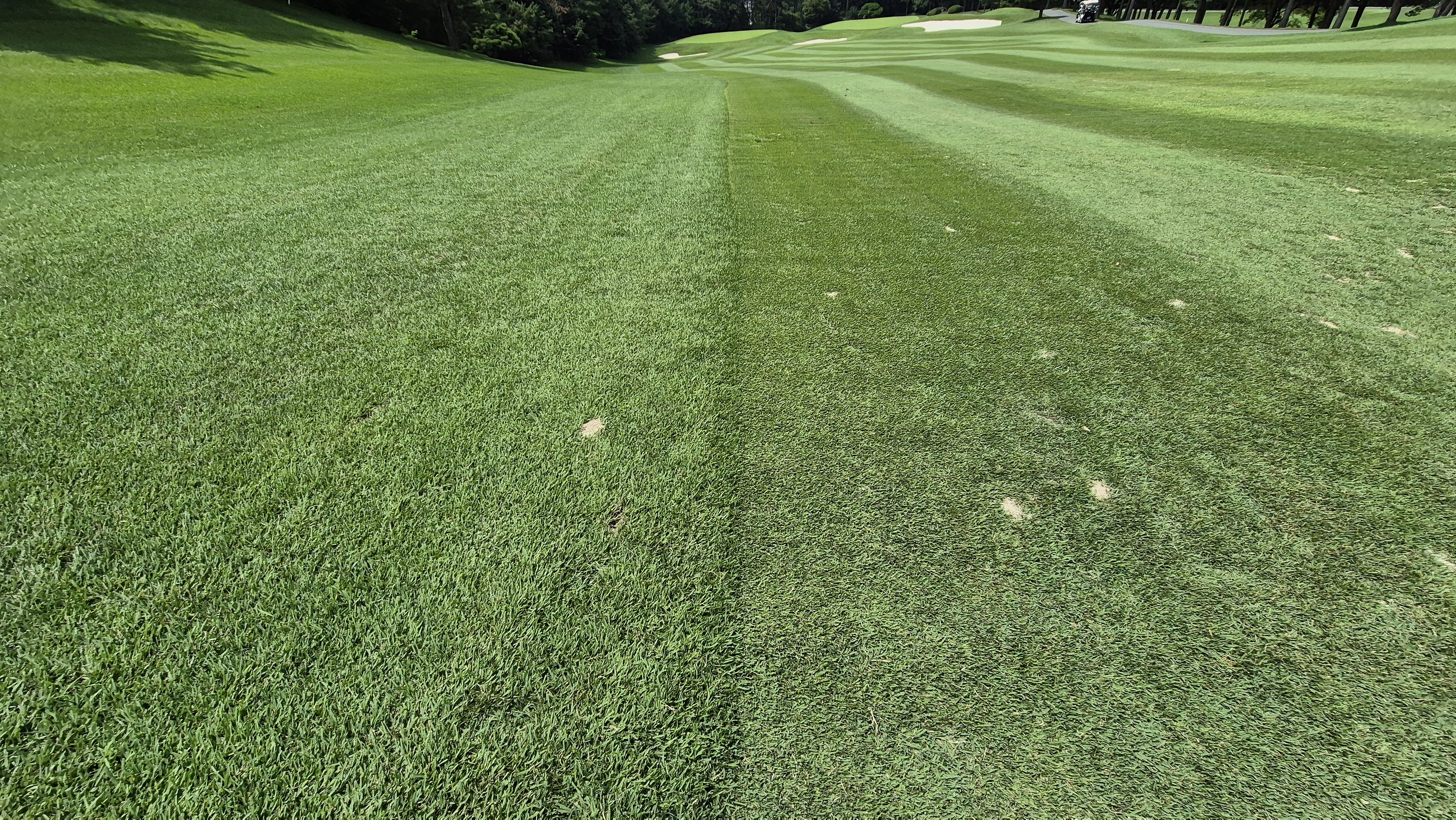 한성cc 오렌지-그린 코스 라운드 후기