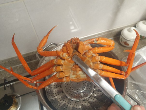 연지홍게