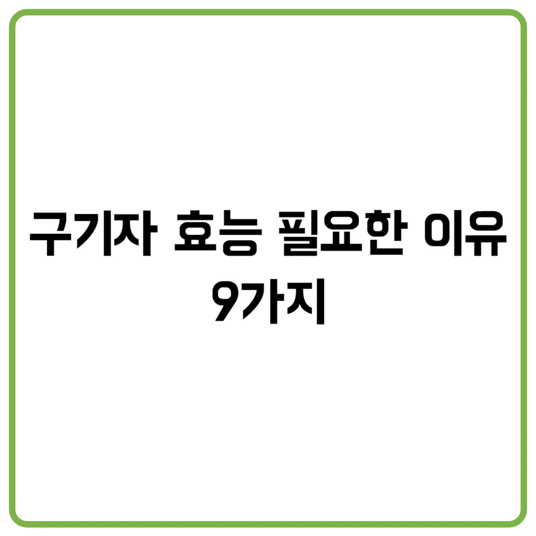 구기자 효능 필요한 이유 9가지