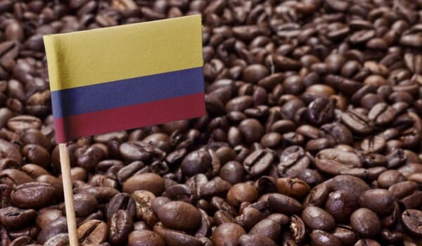 브라질 대표 커피